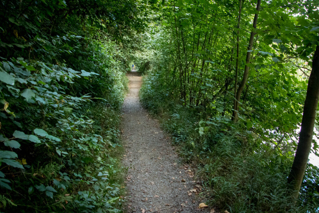 Wandern auf dem Streifzug Nr. 14 - Höhlenweg Engelskirchen