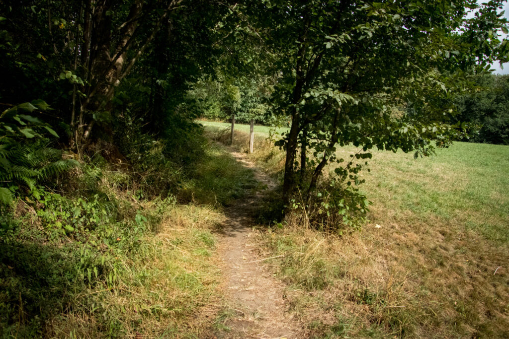 Wandern auf dem Streifzug Nr. 14 - Höhlenweg Engelskirchen