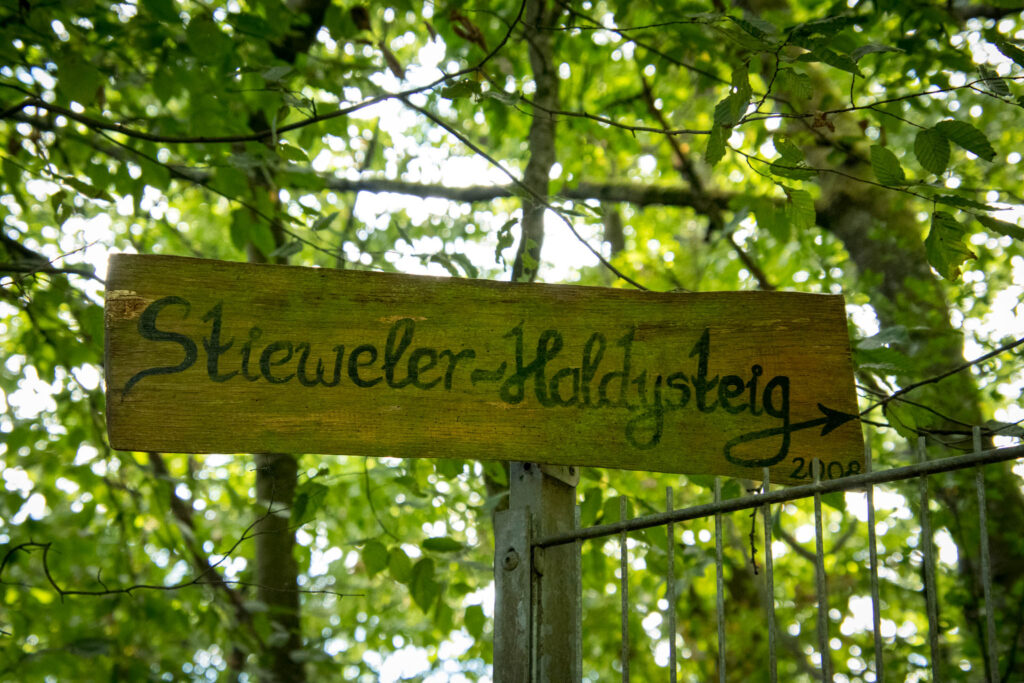 Wandern auf dem Streifzug Nr. 14 - Höhlenweg Engelskirchen