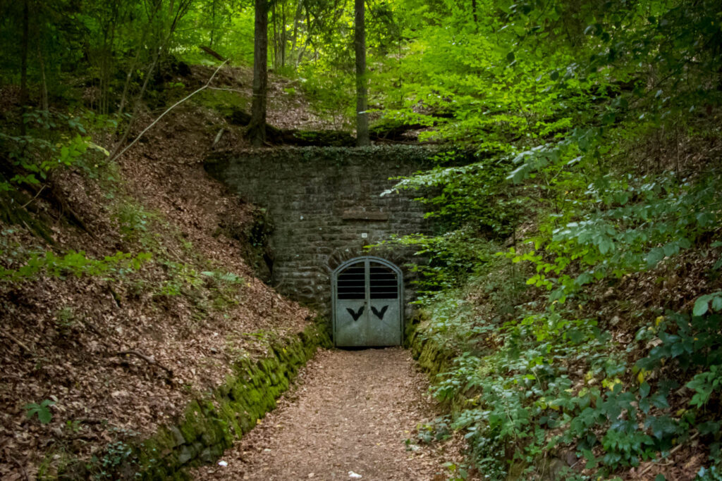 Wandern auf dem Streifzug Nr. 14 - Höhlenweg Engelskirchen - Aggertalhöhle