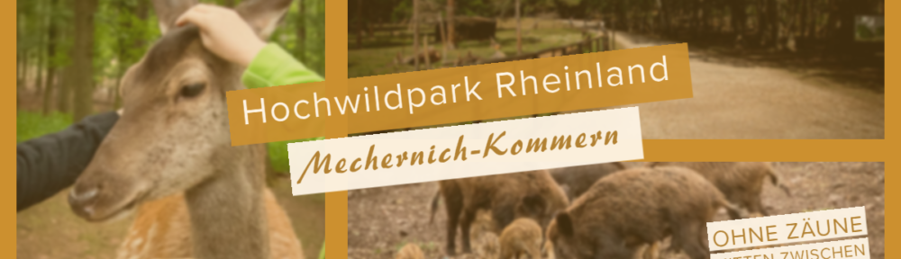 Hochwildpark Rheinland in Mechernich-Kommern