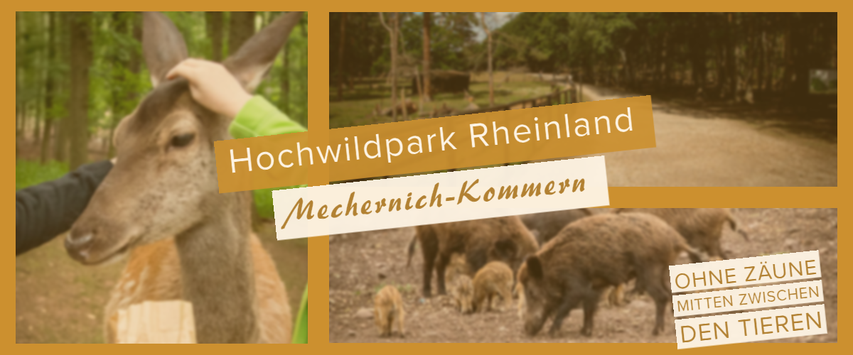 Hochwildpark Rheinland in Mechernich-Kommern