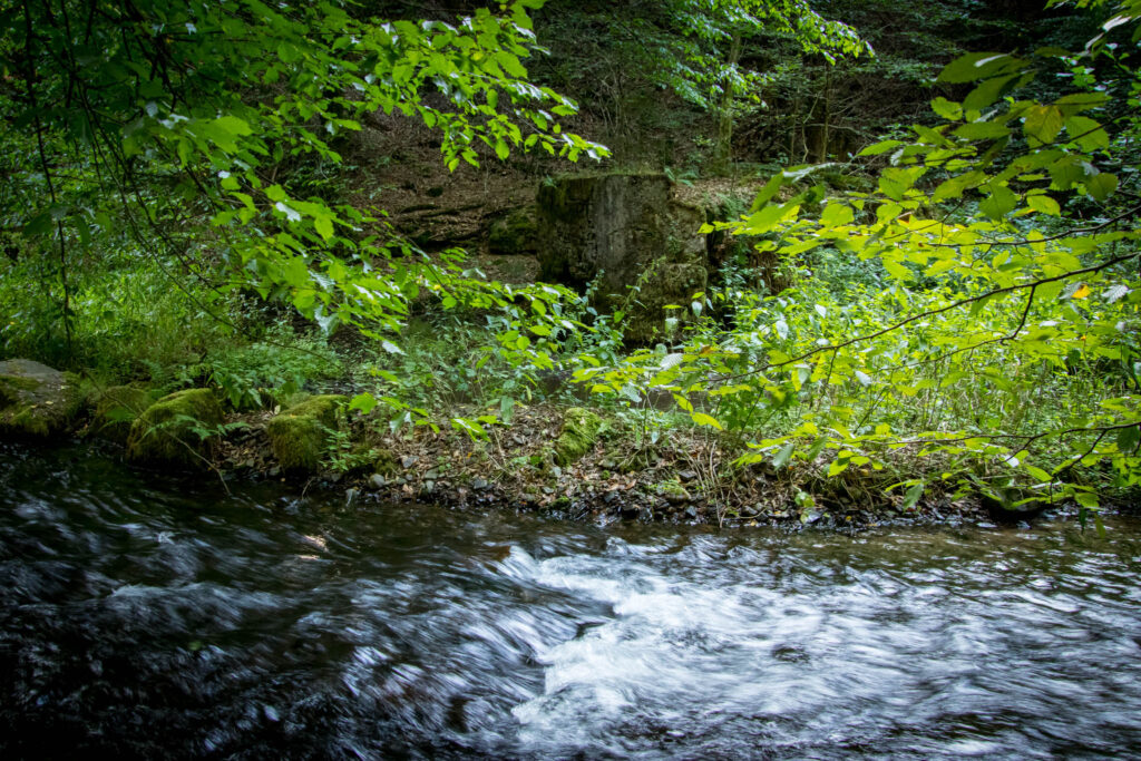 Altenberg - Helenental - Pulvermühle - Dhünntalsperre