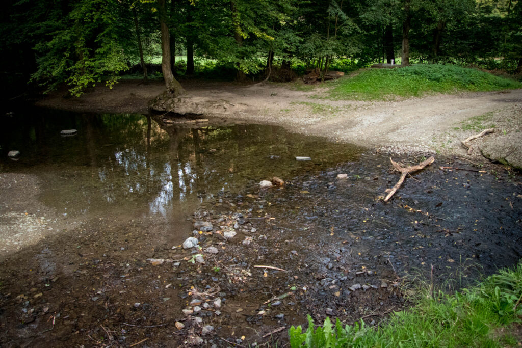 Altenberg - Helenental - Pulvermühle - Dhünntalsperre