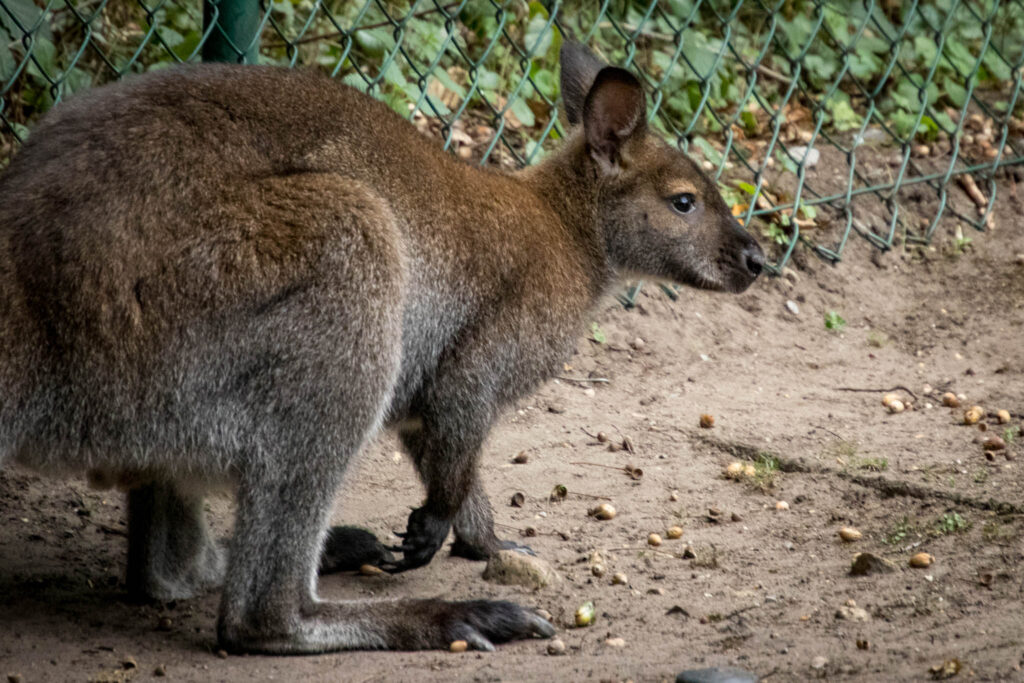 Vogelpark Solingen