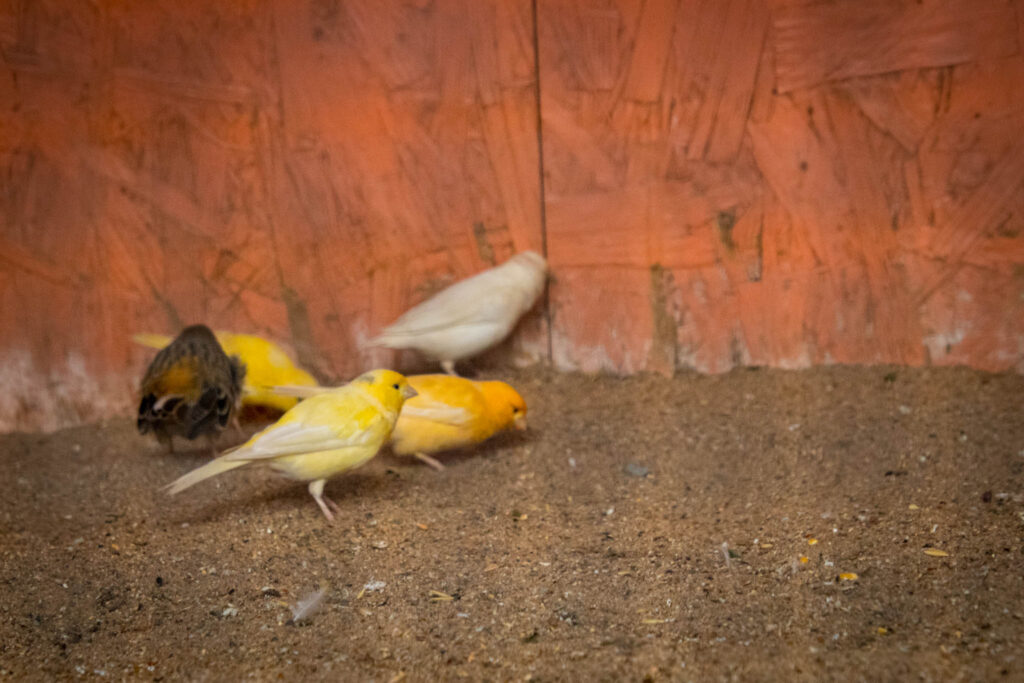 Vogelpark Solingen