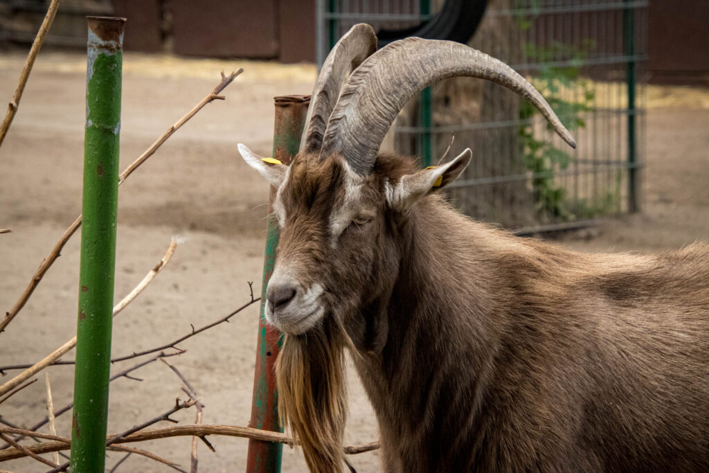 Vogelpark Solingen