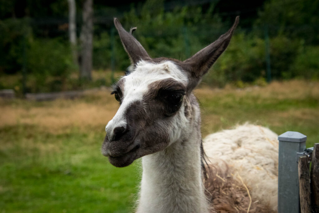 Vogelpark Solingen