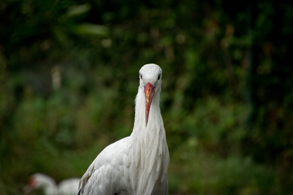 Vogelpark Solingen