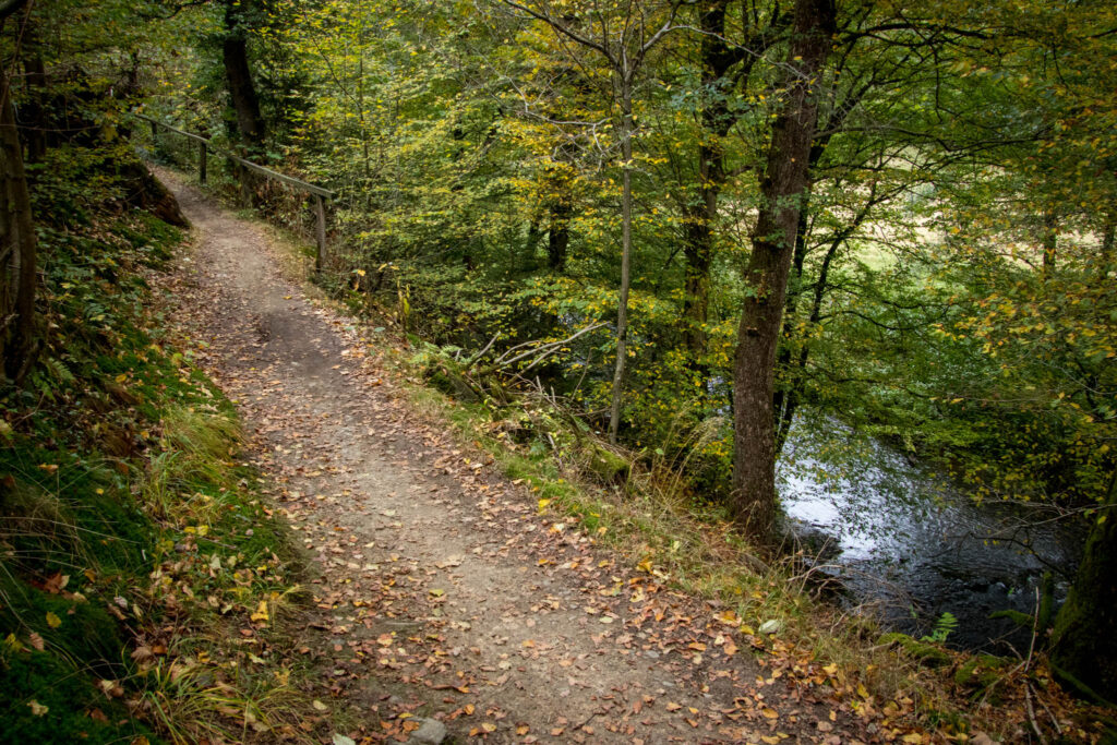 Wandern im Bergischen Land |  Hilgen - Eifgenbachtal