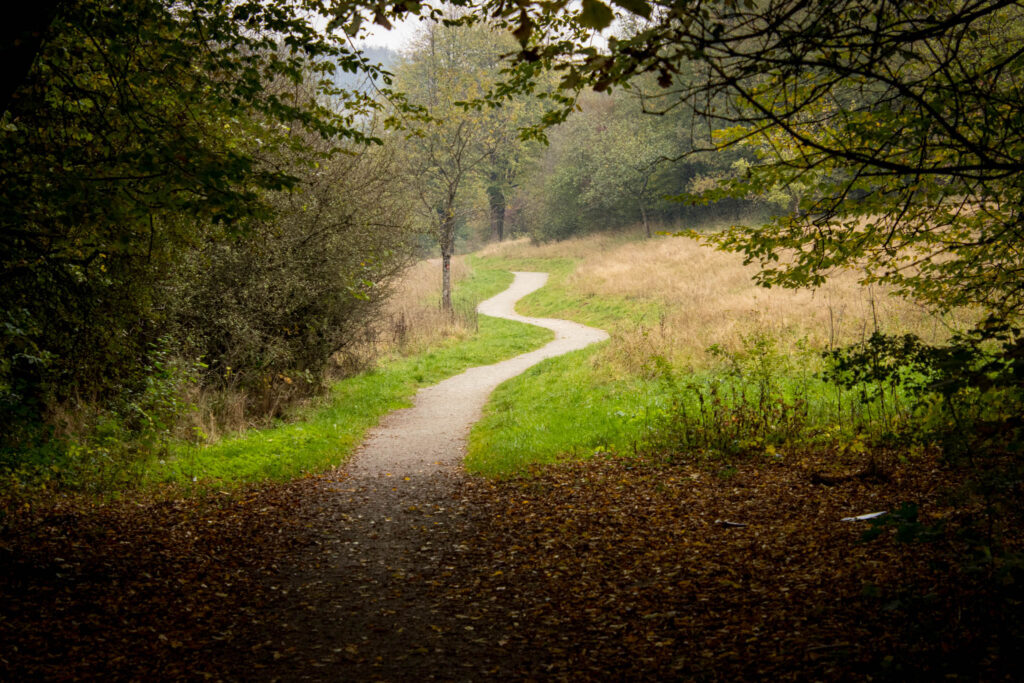 Wandern im Oberbergischen auf dem Streifzug #9 – Bergischer Fuhrmannsweg des Bergischen Wanderlandes in Marienheide