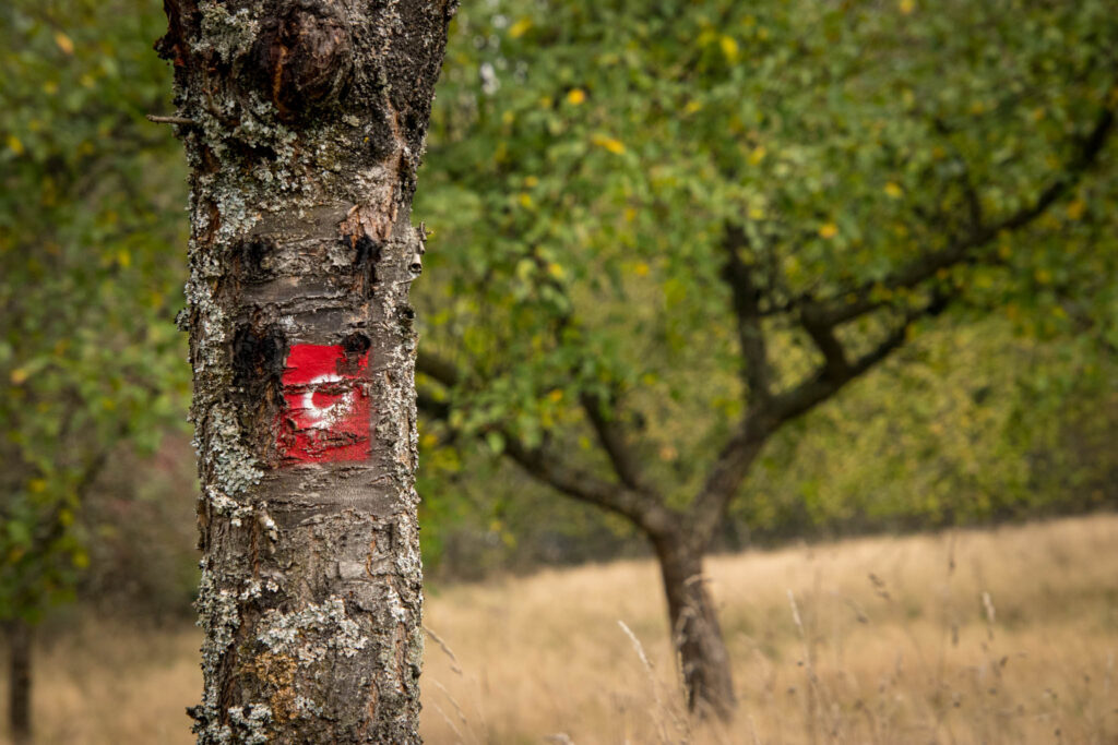 Wandern im Oberbergischen auf dem Streifzug #9 – Bergischer Fuhrmannsweg des Bergischen Wanderlandes in Marienheide