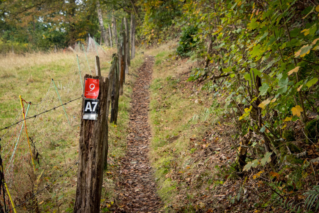 Wandern im Oberbergischen auf dem Streifzug #9 – Bergischer Fuhrmannsweg des Bergischen Wanderlandes in Marienheide