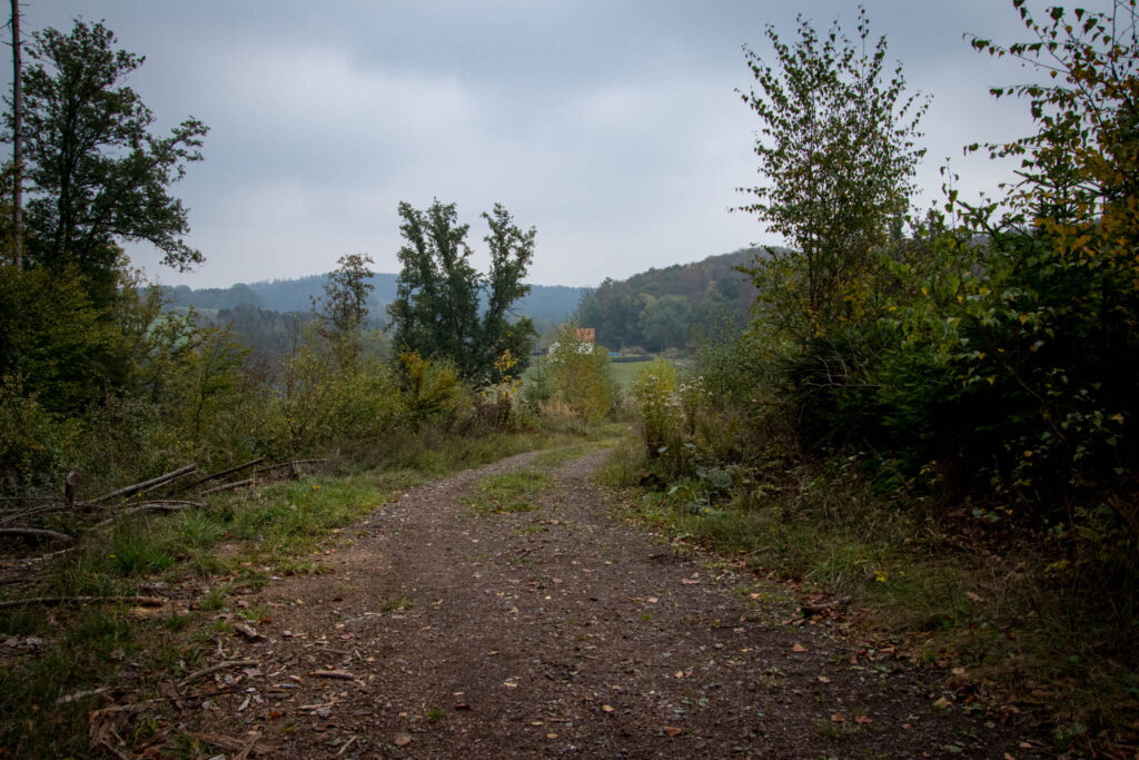 Wandern im Oberbergischen auf dem Streifzug #9 – Bergischer Fuhrmannsweg des Bergischen Wanderlandes in Marienheide