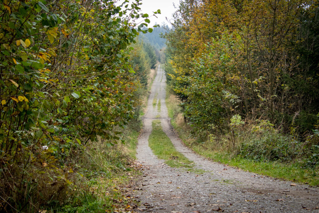 Wandern im Oberbergischen auf dem Streifzug #9 – Bergischer Fuhrmannsweg des Bergischen Wanderlandes in Marienheide