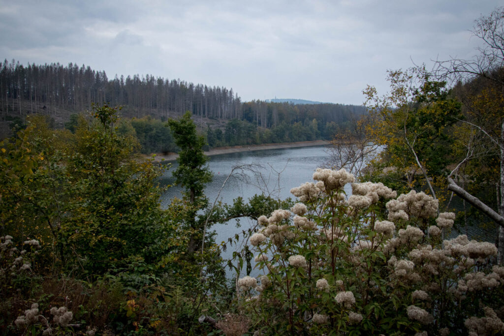 Wandern - Gummersbach - Aggertalsperre - Streifzug #10 - Energieweg