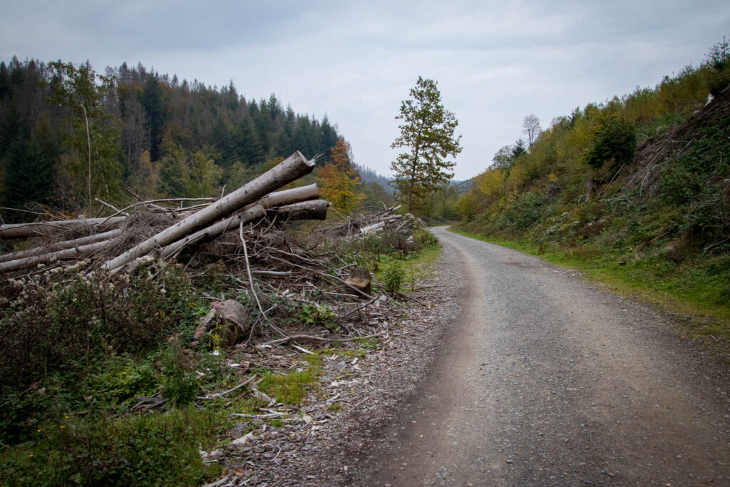 Wandern - Gummersbach - Aggertalsperre - Streifzug #10 - Energieweg