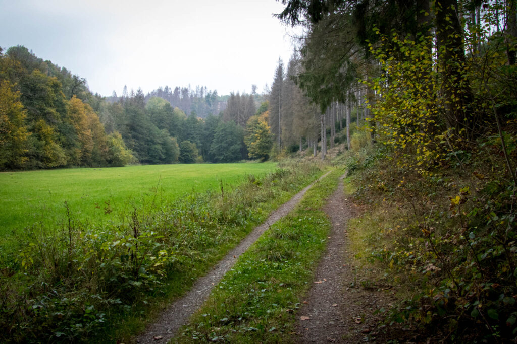 Wandern - Gummersbach - Aggertalsperre - Streifzug #10 - Energieweg