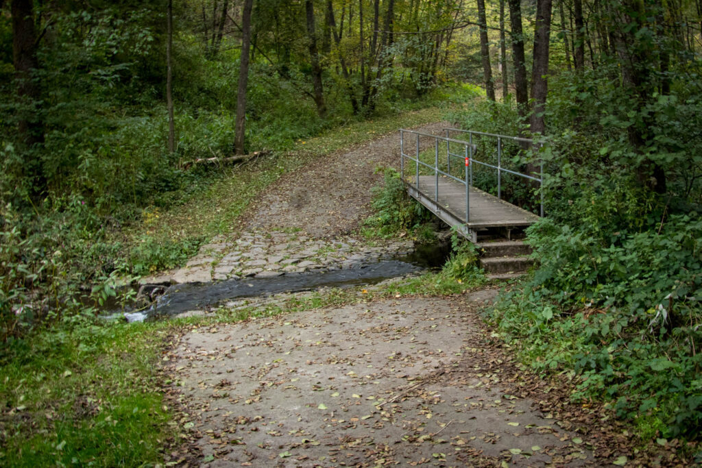 Wandern - Gummersbach - Aggertalsperre - Streifzug #10 - Energieweg - Brücke/Furt über die Rengse