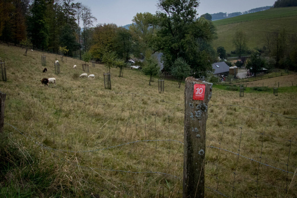 Wandern - Gummersbach - Aggertalsperre - Streifzug #10 - Energieweg