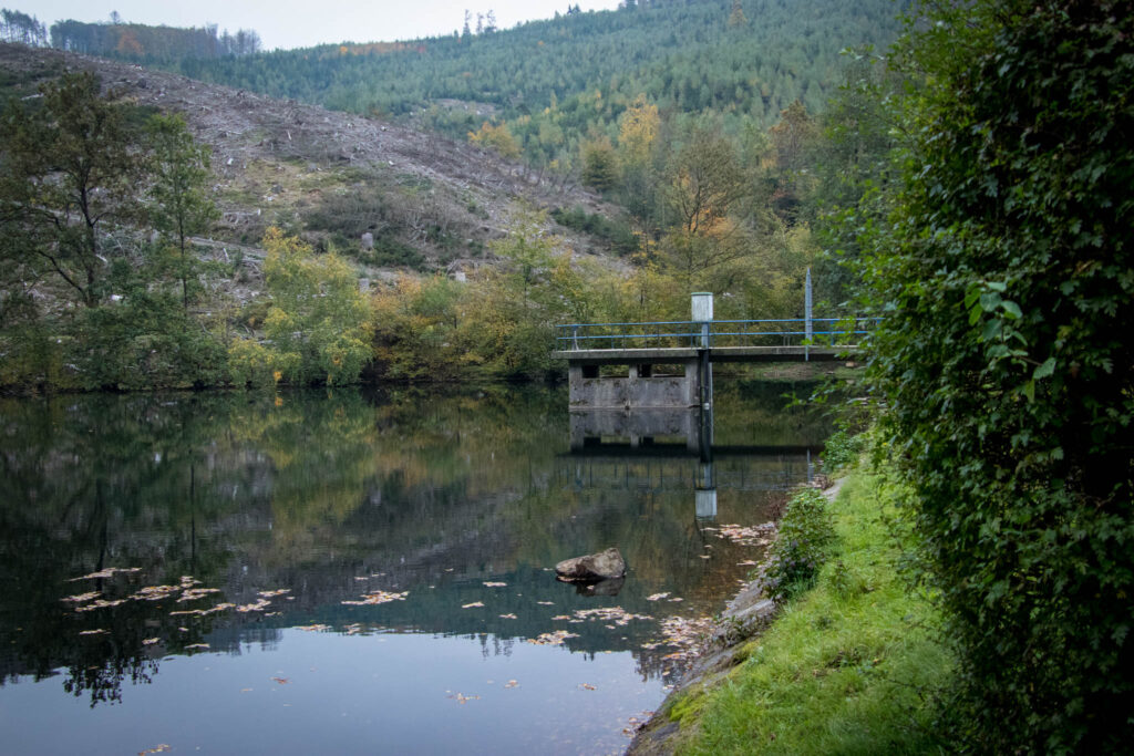 Wandern - Gummersbach - Aggertalsperre - Streifzug #10 - Energieweg