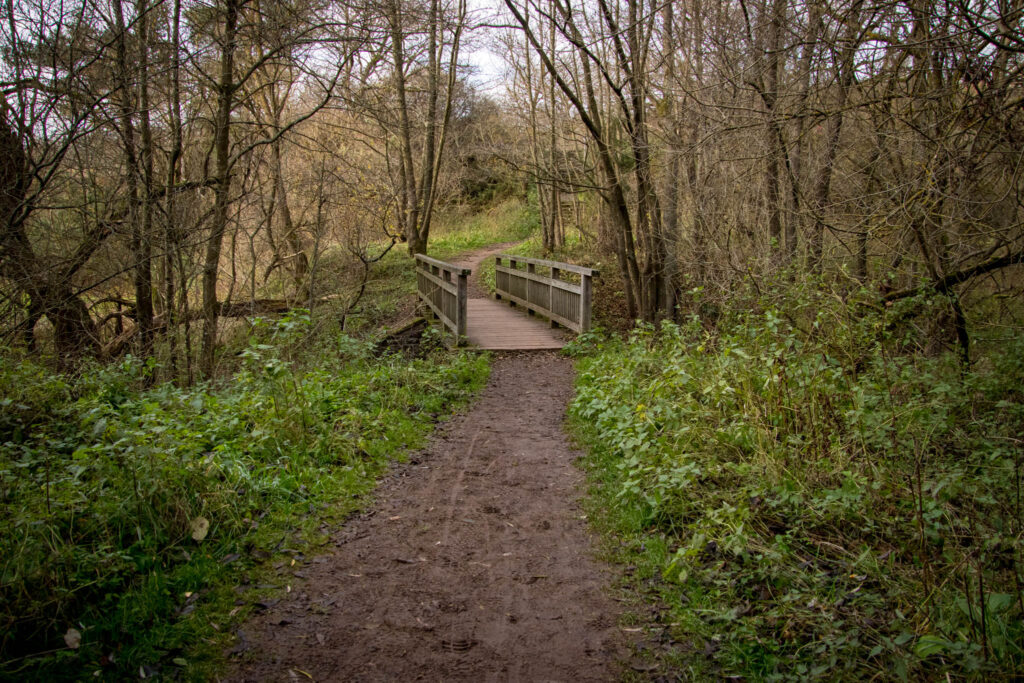 Wandern auf dem Löwenzahn Erlebnispfad in Nettersheim in der Eifel