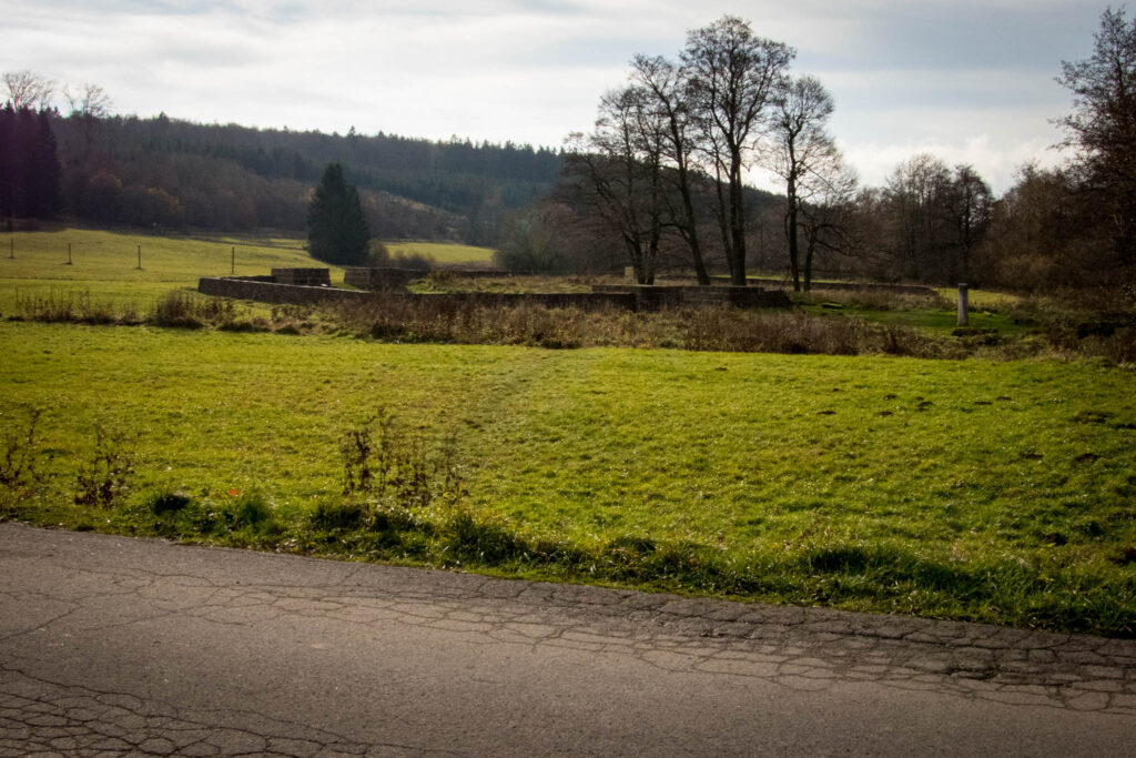 Wandern auf dem Löwenzahn Erlebnispfad in Nettersheim in der Eifel