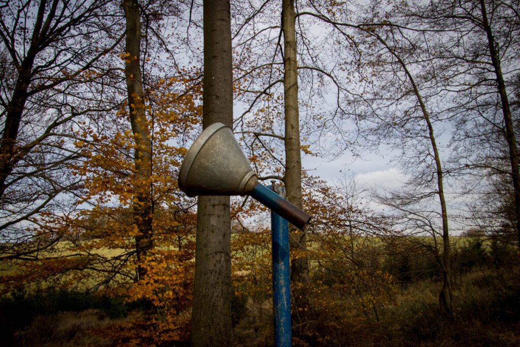 Wandern auf dem Löwenzahn Erlebnispfad in Nettersheim in der Eifel