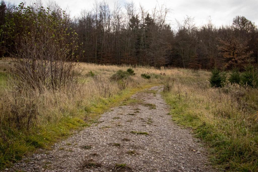 Wandern auf dem Löwenzahn Erlebnispfad in Nettersheim in der Eifel