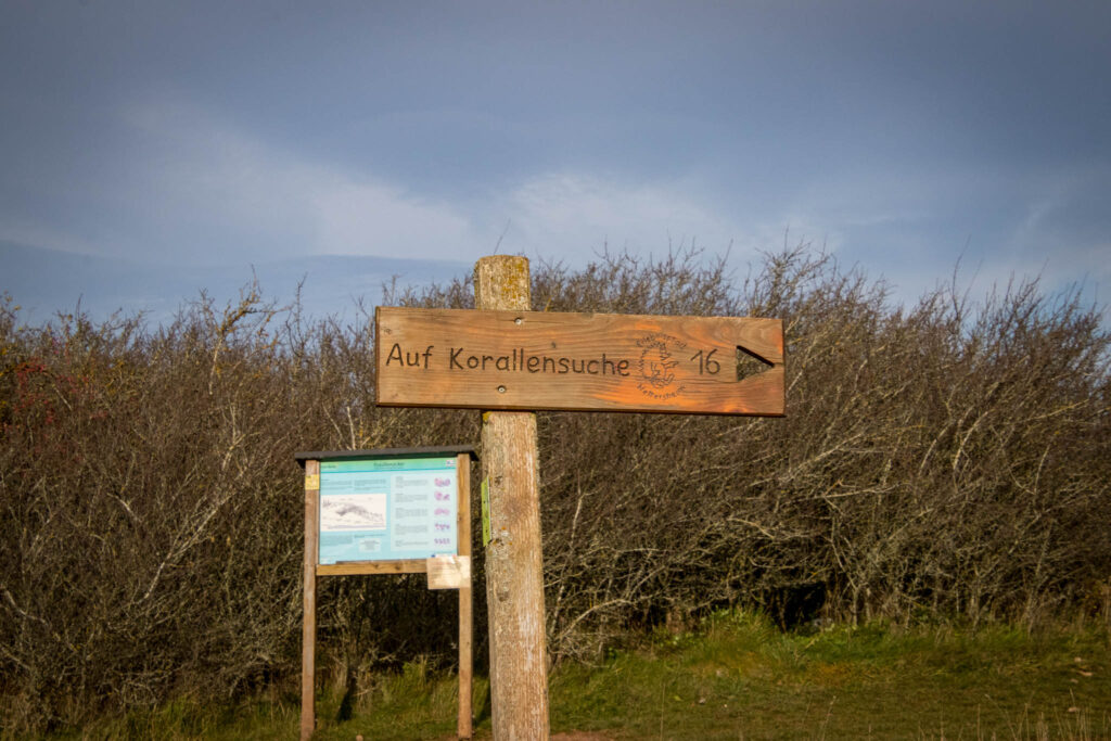 Wandern auf dem Löwenzahn Erlebnispfad in Nettersheim in der Eifel