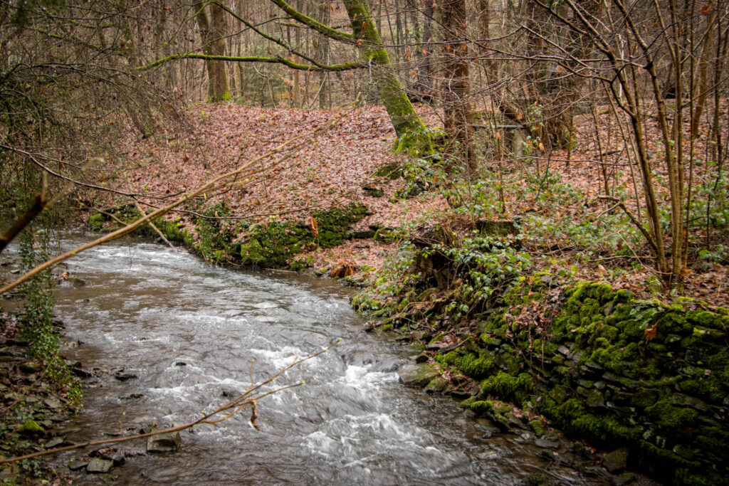 Wanderung rund um Schloss Burg 