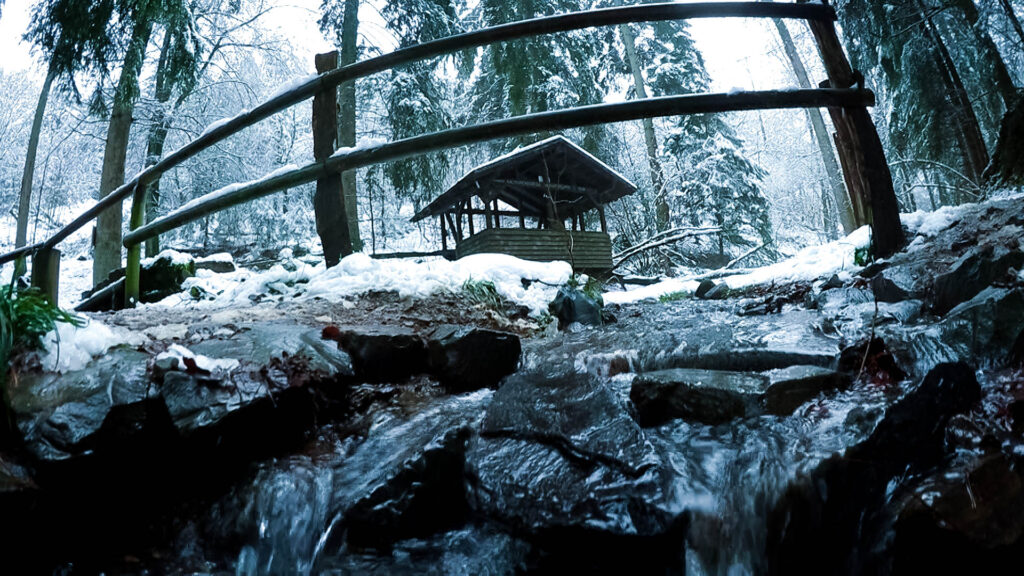 Winterwanderung Eifgenbach - Dabringhausen - Dhünntalsperre - Schöllerhof