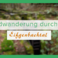 Rundwanderung durchs Eifgental