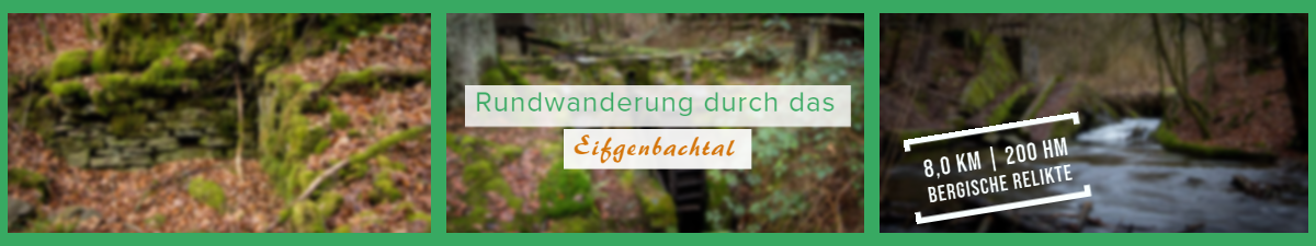 Rundwanderung durchs Eifgental