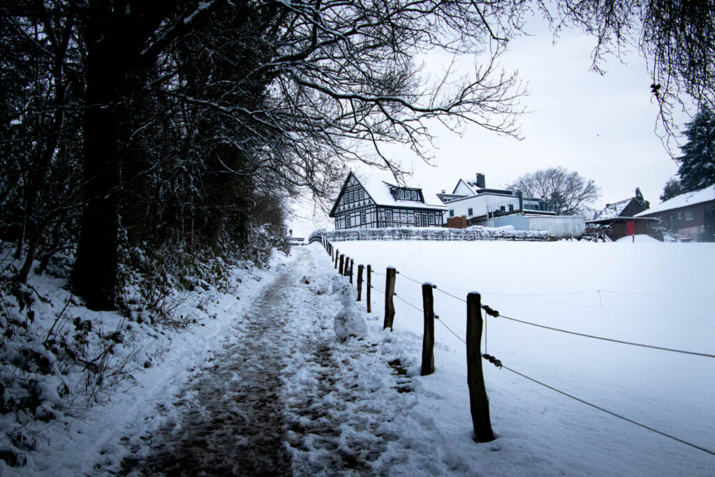 Winterwanderung Eifgenbach - Dabringhausen - Dhünntalsperre - Schöllerhof