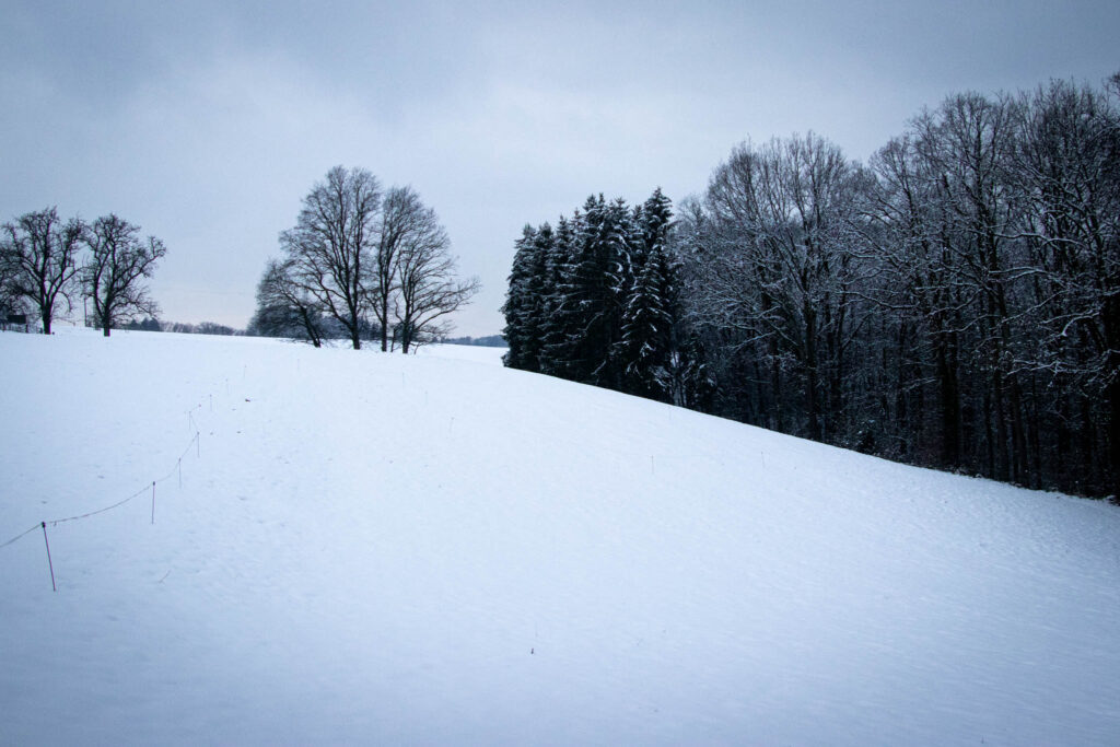 Winterwanderung Eifgenbach - Dabringhausen - Dhünntalsperre - Schöllerhof