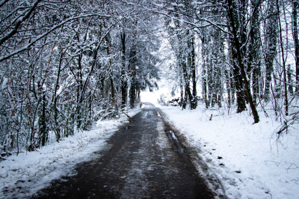 Winterwanderung Eifgenbach - Dabringhausen - Dhünntalsperre - Schöllerhof