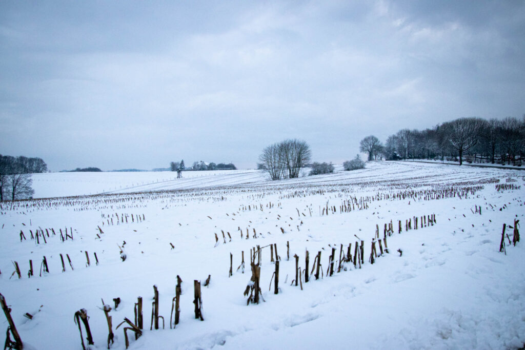 Winterwanderung Eifgenbach - Dabringhausen - Dhünntalsperre - Schöllerhof