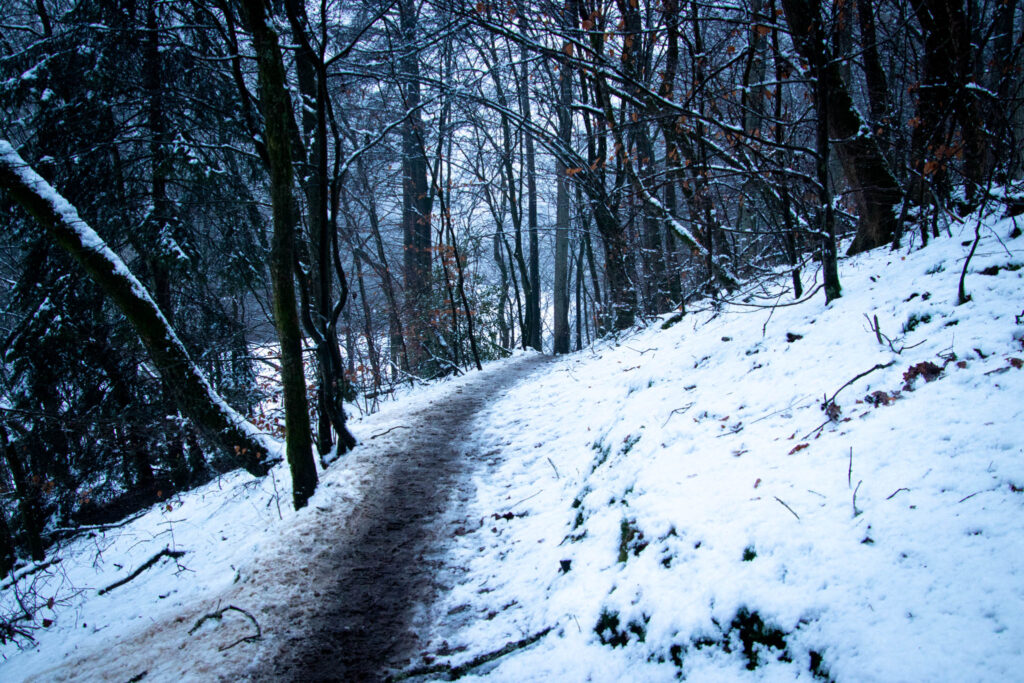 Winterwanderung Eifgenbach - Dabringhausen - Dhünntalsperre - Schöllerhof