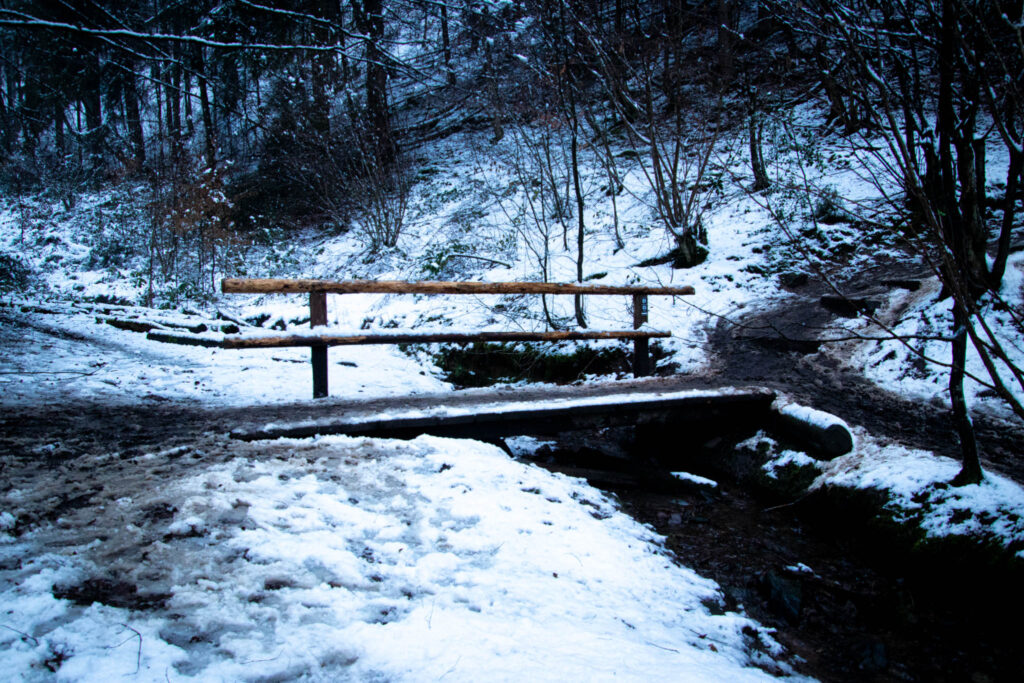 Winterwanderung Eifgenbach - Dabringhausen - Dhünntalsperre - Schöllerhof