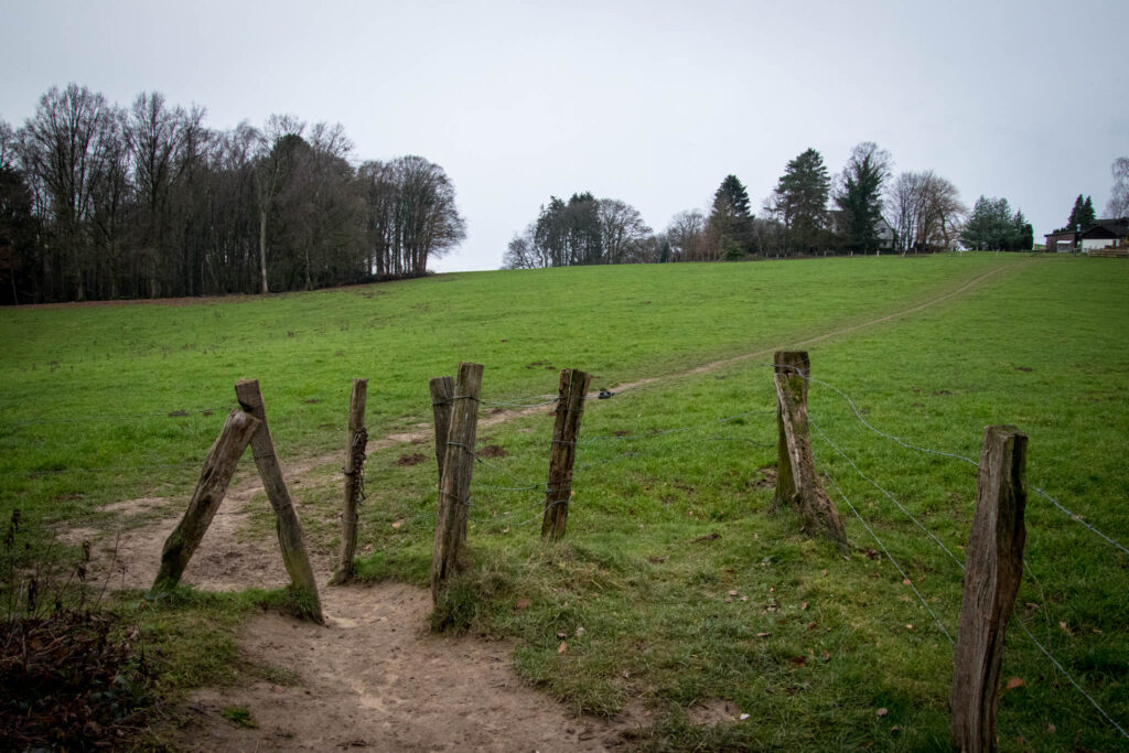 Wanderung durch das Eifgental von Burscheid Bellinhausen aus - Der Wanderweg führt über die Weide am Thomashof