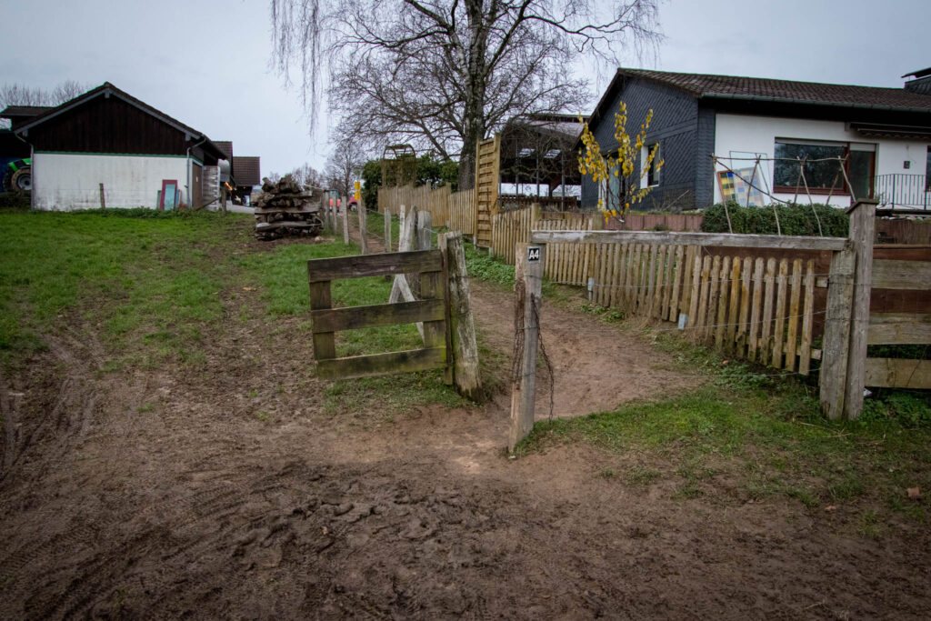 Wanderung durch das Eifgental von Burscheid Bellinhausen aus - Der Wanderweg führt über die Weide am Thomashof