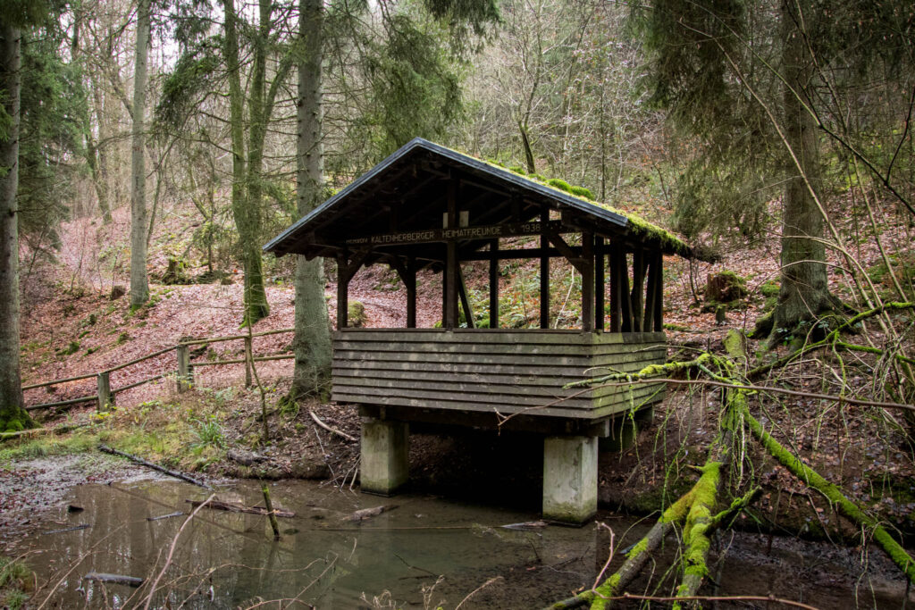 Wanderung durch das Eifgental von Burscheid Bellinhausen aus