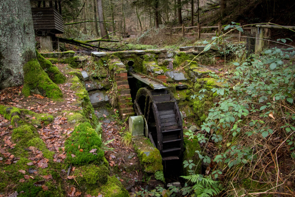 Wanderung durch das Eifgental von Burscheid Bellinhausen aus