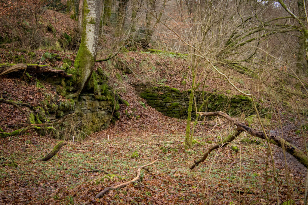 Wanderung durch das Eifgental von Burscheid Bellinhausen aus - Reste des Bökershammer am Eifgen