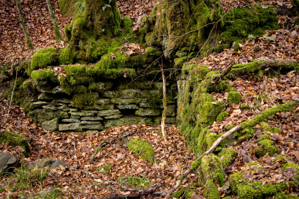 Wanderung durch das Eifgental von Burscheid Bellinhausen aus - Reste des Bökershammer am Eifgen