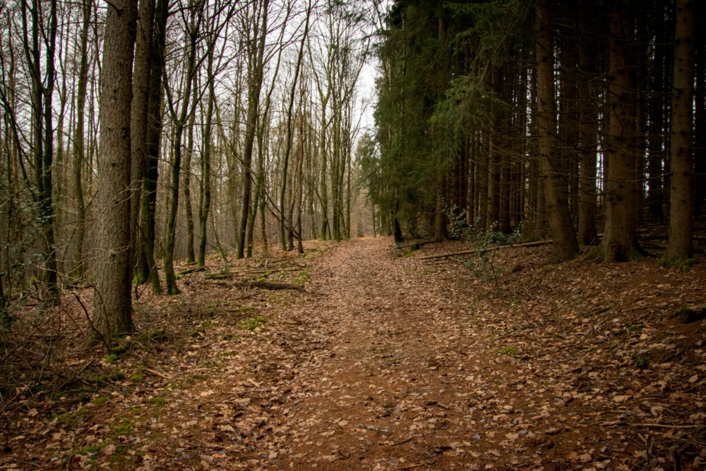 Dhünntalsperre - Wandern rund um die Vorsperre Große Dhünn