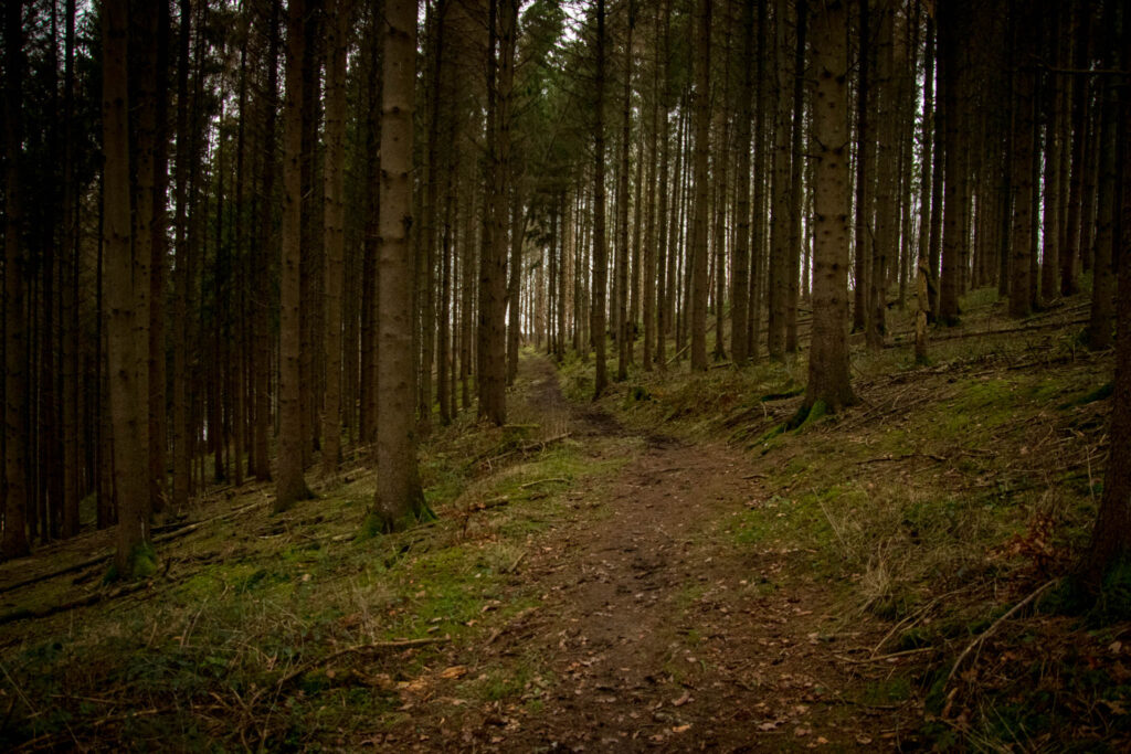 Dhünntalsperre - Wandern rund um die Vorsperre Große Dhünn