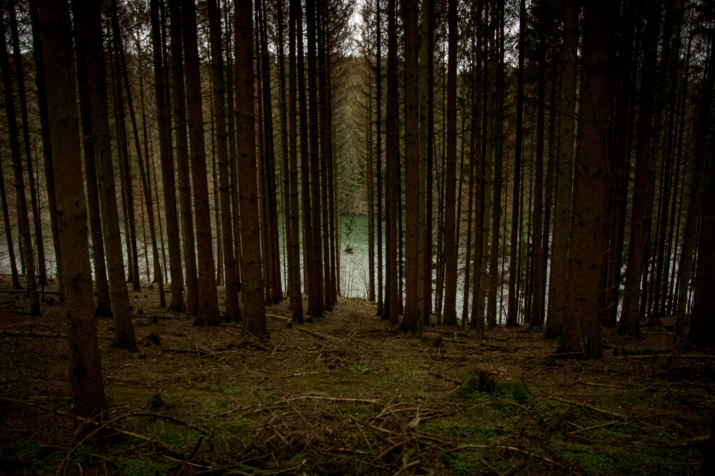 Dhünntalsperre - Wandern rund um die Vorsperre Große Dhünn