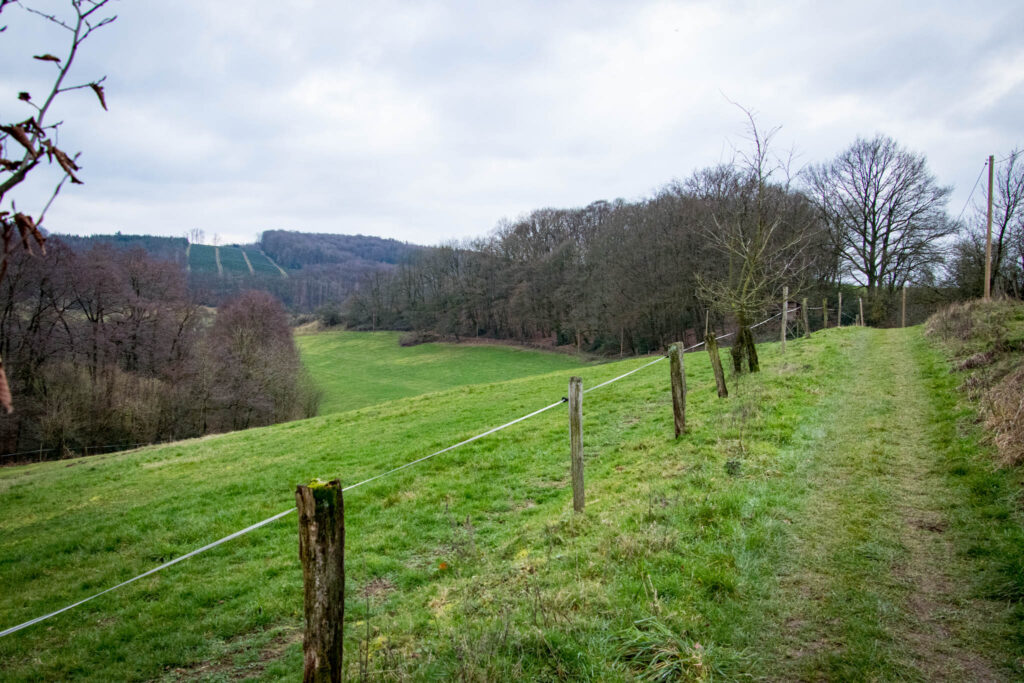 Wanderung von Kürten Delling nach Ommerborn